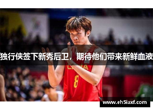 独行侠签下新秀后卫，期待他们带来新鲜血液