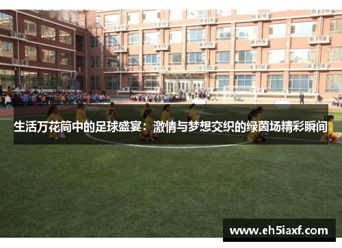 生活万花筒中的足球盛宴：激情与梦想交织的绿茵场精彩瞬间