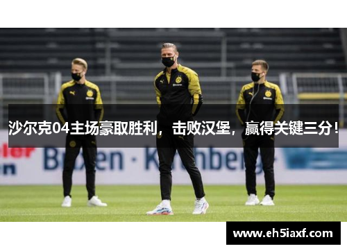 沙尔克04主场豪取胜利，击败汉堡，赢得关键三分！